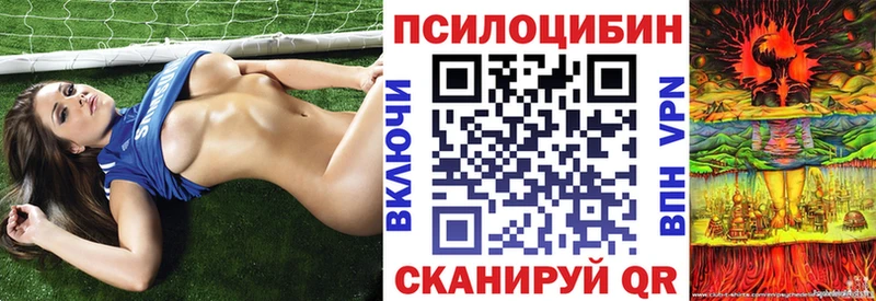 Псилоцибиновые грибы MAGIC MUSHROOMS  Бирюч 