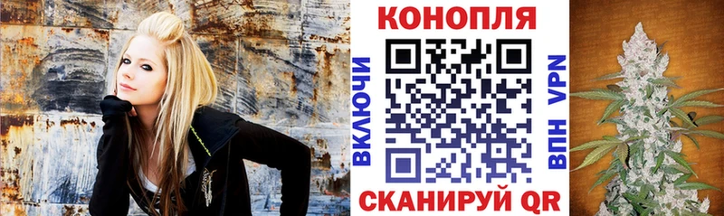 Бошки Шишки индика  Бирюч 
